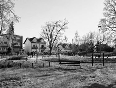Zdjęcie 15620190
