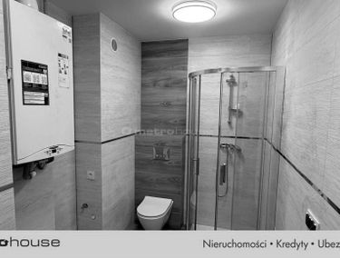 Zdjęcie 15620203