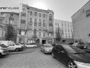 Zdjęcie 15620210