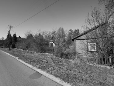 Zdjęcie 15620519