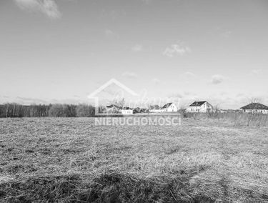 Zdjęcie 15620531