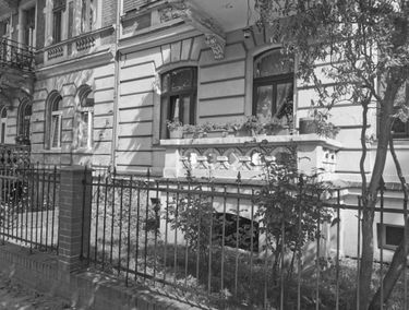 Zdjęcie 15621237