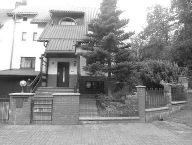 Zdjęcie 15621386