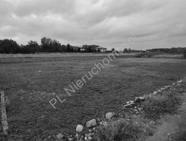 Zdjęcie 15621672