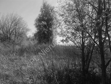 Zdjęcie 15621683
