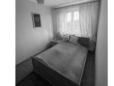 Zdjęcie 15622152