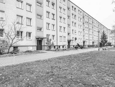 Zdjęcie 15622189