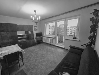 Zdjęcie 15622302