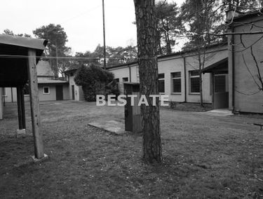 Zdjęcie 15622380
