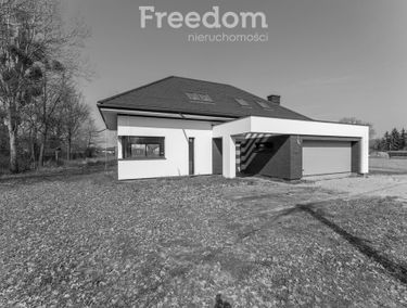 Zdjęcie 15622718