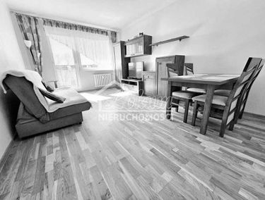 Zdjęcie 15622873
