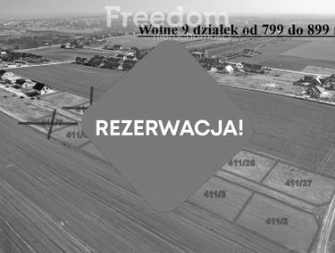 Zdjęcie 15623579