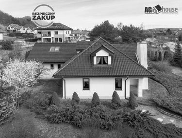 Zdjęcie 15623638