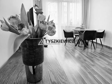 Zdjęcie 15623917