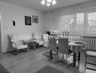Zdjęcie 15624818