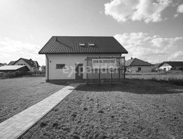 Zdjęcie 15624866