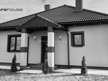 Zdjęcie 15625036