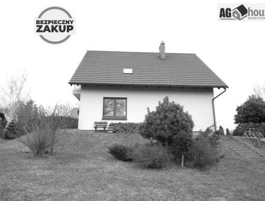 Zdjęcie 15625312