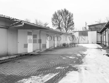 Zdjęcie 15625334