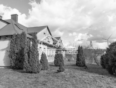 Zdjęcie 15625455