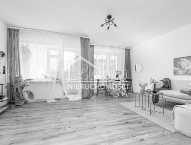 Zdjęcie 15625460