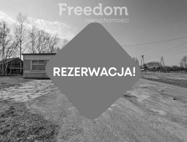 Zdjęcie 15625803
