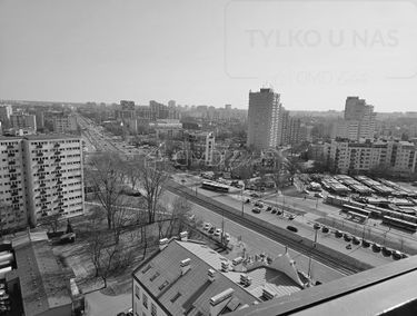 Zdjęcie 15625943