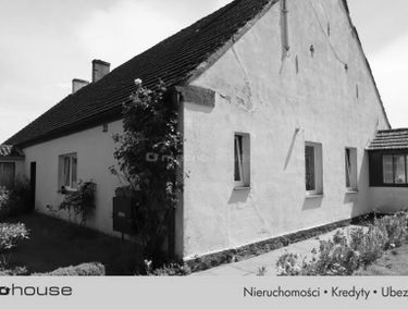 Zdjęcie 15626093