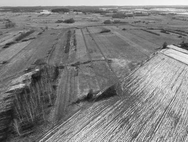 Zdjęcie 15626262