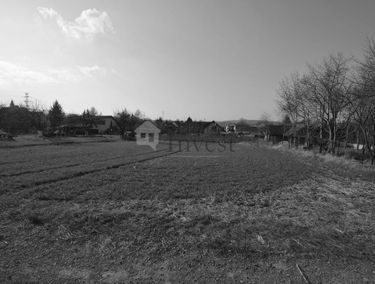 Zdjęcie 15627309