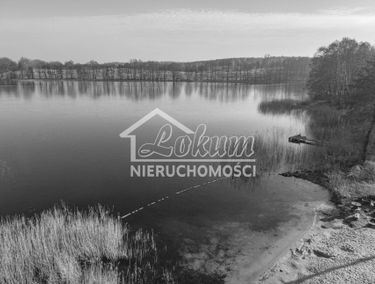 Zdjęcie 15627561