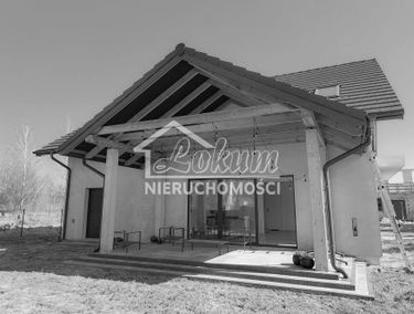 Zdjęcie 15627563