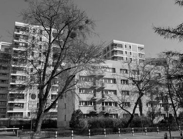 Zdjęcie 15628046