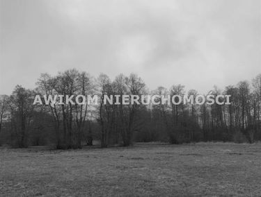 Zdjęcie 15628348