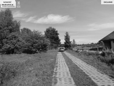 Zdjęcie 15629134