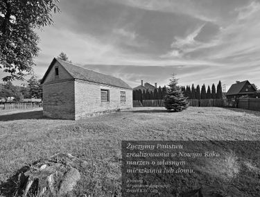 Zdjęcie 15629413