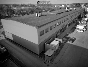 Zdjęcie 15629693