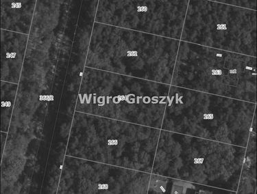 Zdjęcie 15631027