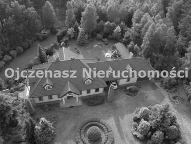 Zdjęcie 15631147