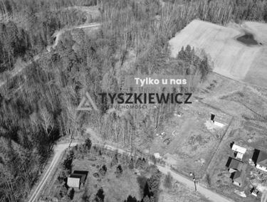Zdjęcie 15631297