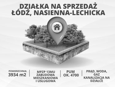 Zdjęcie 15633395