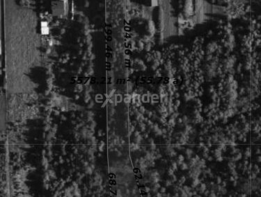 Zdjęcie 15633638