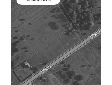 Zdjęcie 15634789