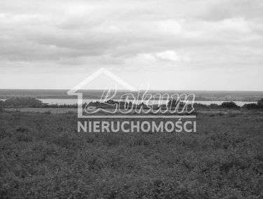 Zdjęcie 15635387