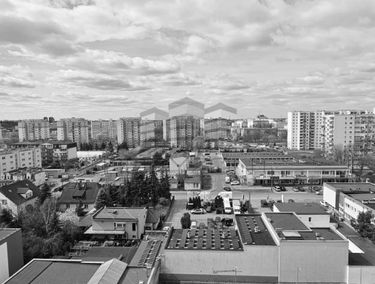 Zdjęcie 15635423
