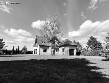 Zdjęcie 15635644