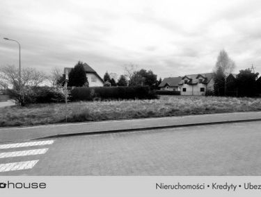 Zdjęcie 15636834