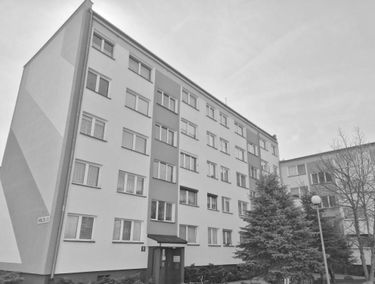 Zdjęcie 15637431
