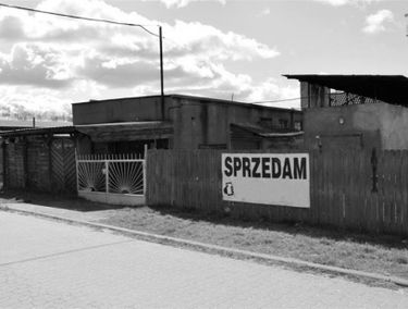 Zdjęcie 15637645