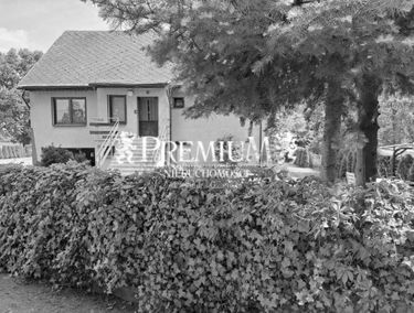 Zdjęcie 15637738